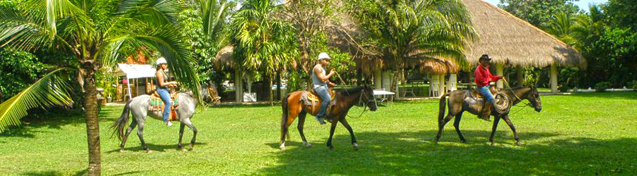 Jungle Trails Horseback Riding in Cozumel 1