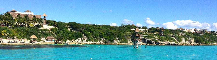 Manatee Encounter Cozumel 1