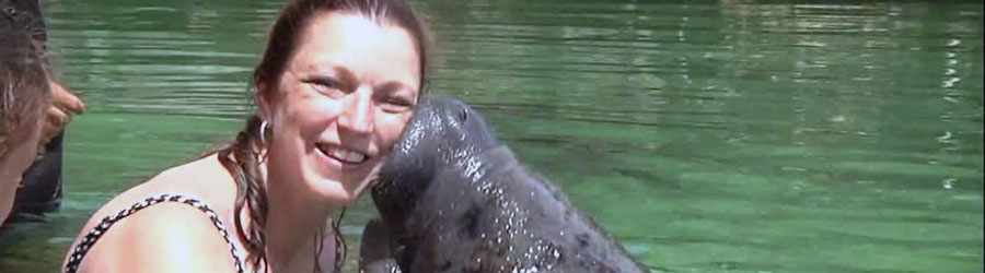 Manatee Encounter Cozumel 2