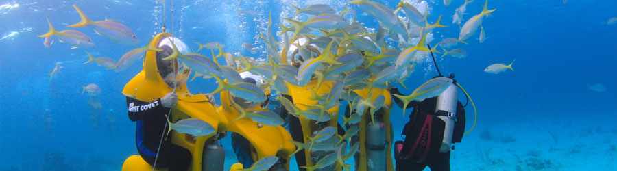 Cozumel Mini Submarine Adventure 4