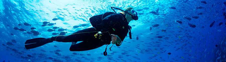 Cozumel Night Dive 7