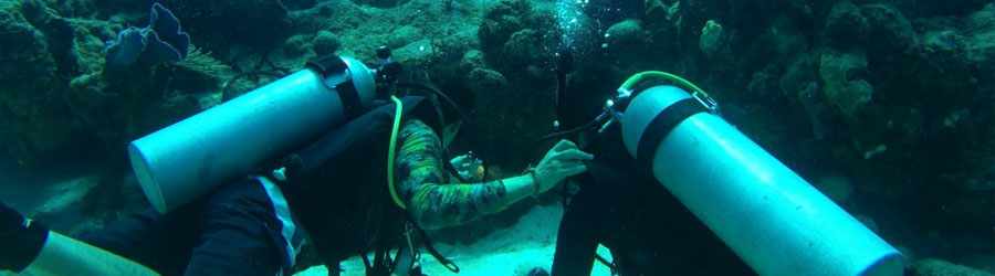 PADI Open Water Certification 8