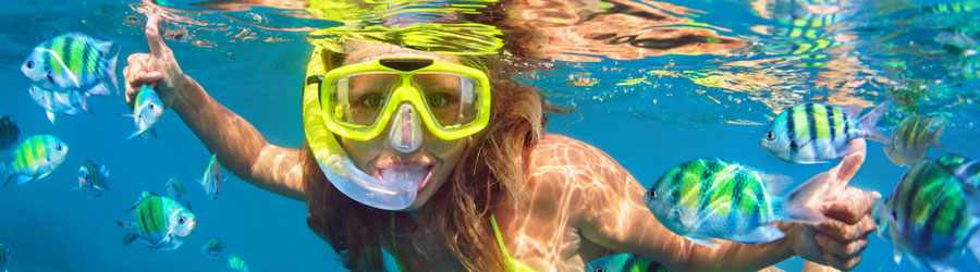 El Cielo, Palancar & Colombia Reef Snorkeling Tour 6