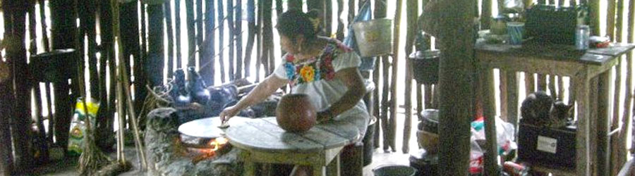 Cozumel Private Coba Express 5