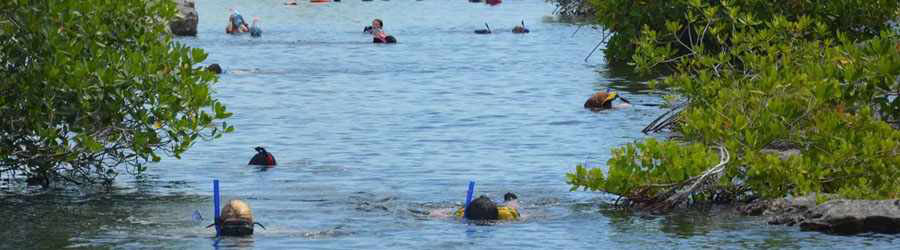 Cozumel Private Tulum + Yal Ku Lagoon 2