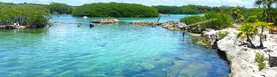 Cozumel Private Tulum + Yal Ku Lagoon 5