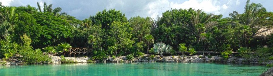 Royal Dolphin Swim Cozumel 1