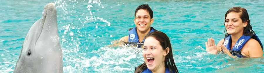 Royal Dolphin Swim Cozumel 3