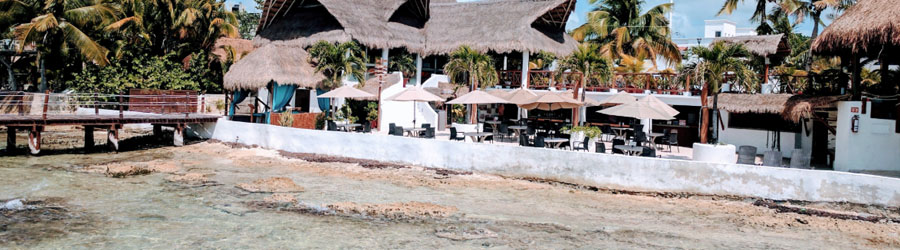 SUP Paddle Boardng & Stingray Snorkel in Cozumel 3