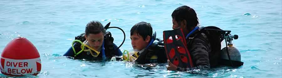PADI Scuba Refresher Course 4