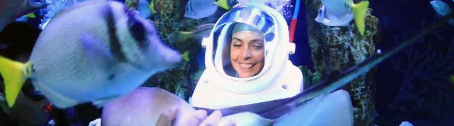 Cozumel Sea Trek Adventure 2