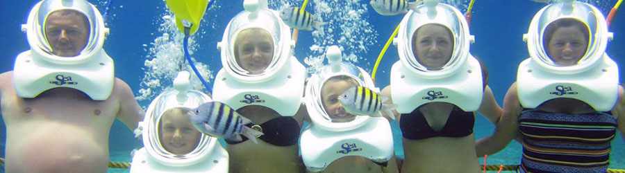 Cozumel Sea Trek Adventure 3