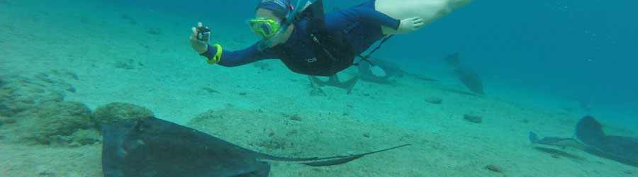 Stingray Encounter & Beach Break in Cozumel 3