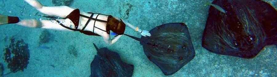 Stingray Encounter & Beach Break in Cozumel 6