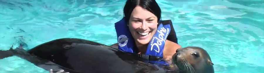 Cozumel Sea Lion Discovery 6