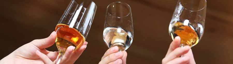 Tequila Seminar at Discover Mexico Park 2