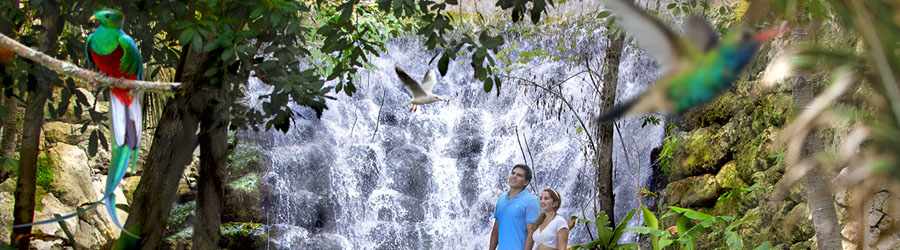 Private Xcaret Express 6