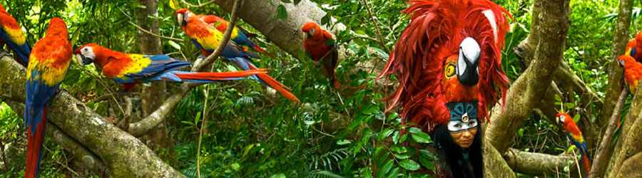 Private Xcaret Express 8