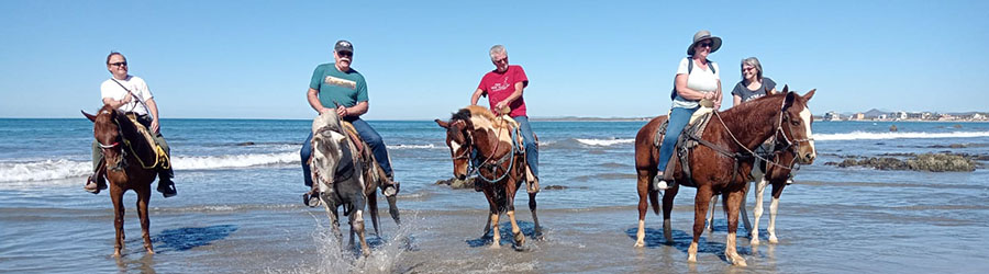 Mazatlan Beach & Mountain Horseback Riding Adventure 1
