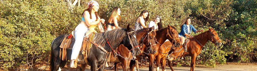 Mazatlan Beach & Mountain Horseback Riding Adventure 3