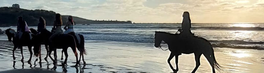 Mazatlan Beach & Mountain Horseback Riding Adventure 4