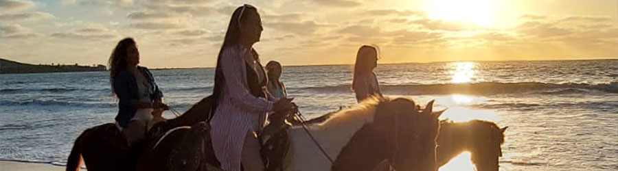 Mazatlan Beach & Mountain Horseback Riding Adventure 6