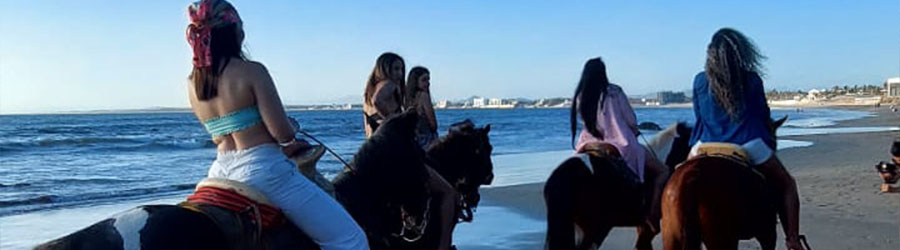 Mazatlan Beach & Mountain Horseback Riding Adventure 7
