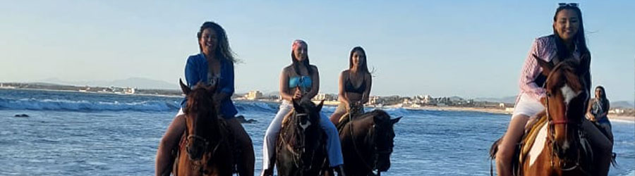 Mazatlan Beach & Mountain Horseback Riding Adventure 8