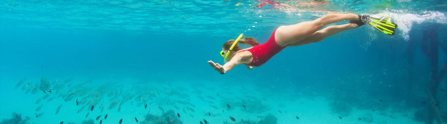 Private Custom Snorkeling or Sunset Sailing Charter 6