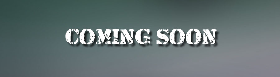 Golden Mazatlan City Tour by Bike 1