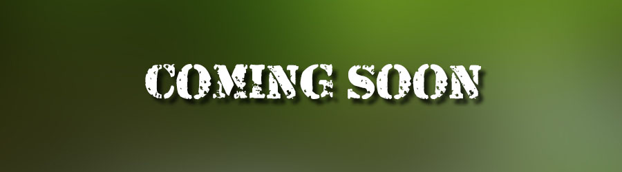 Historic Center & Malecon Pulmonia Adventure 3