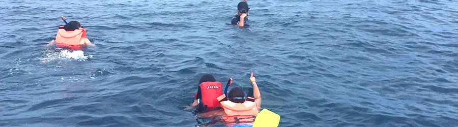 Super Panga Snorkeling Express to Deer Island and Beach Break Adventure 5