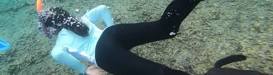 Super Panga Snorkeling Express to Deer Island and Beach Break Adventure 6