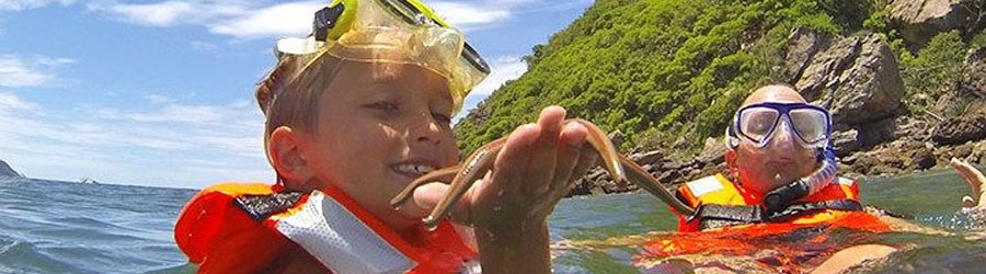 Super Panga Snorkeling Express to Deer Island and Beach Break Adventure 7