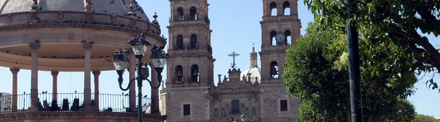 Sierra Madre & Durango Bridge Panoramic Sightseeing Tour 7