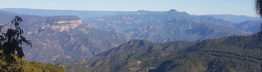 Sierra Madre Mexico Birding Excursion 7