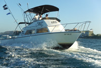36' Sea Hunter Yacht