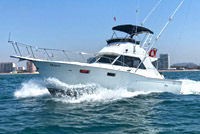 36' Sea Hunter Yacht