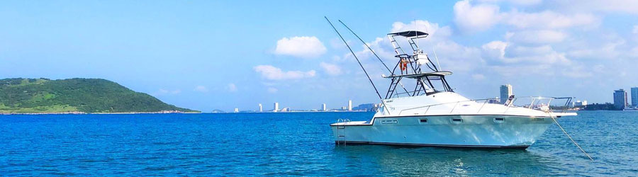 Flotas Privadas de Pesca Deportiva de Día Completo en Mazatlán 6