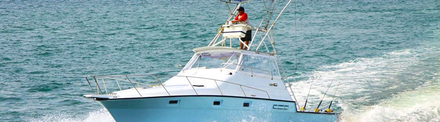 Flotas Privadas de Pesca Deportiva de Día Completo en Mazatlán 8