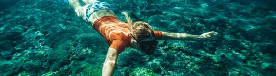 Mazatlan Private Island Snorkeling Expedition Charter 2