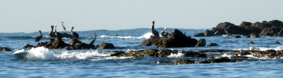 Mazatlan Private Island Snorkeling Expedition Charter 8