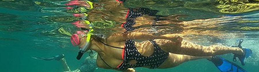 Mazatlan Islands Kayak and Snorkeling Adventure 6