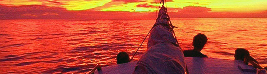 Kolonahe Catamaran Mazatlan Sunset Cruise 2