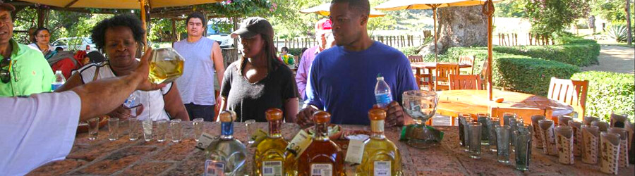 La Noria, Sierra Madre & Tequila ATV Tour 8