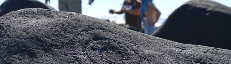 Las Labradas Petroglyphs + Meseta de Cacaxtle Eco Reserve Mazatlan 1