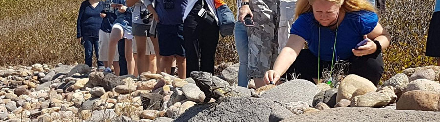 Las Labradas Petroglyphs + Meseta de Cacaxtle Eco Reserve Mazatlan 4