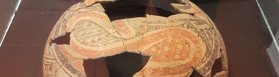 Las Labradas Petroglyphs + Meseta de Cacaxtle Eco Reserve Mazatlan 5