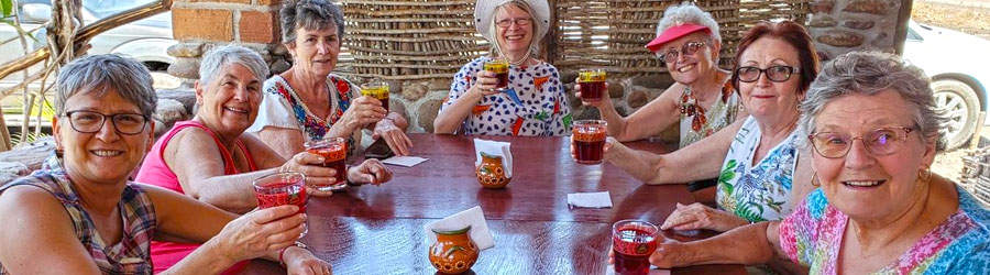 Las Labradas Petroglyphs + Meseta de Cacaxtle Eco Reserve Mazatlan 7