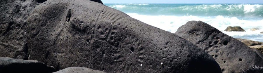 Las Labradas Petroglyphs + Meseta de Cacaxtle Eco Reserve Mazatlan 8